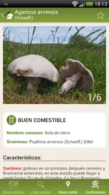 Fungipedia Lite android App screenshot 2